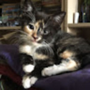 Meet your Posher, Lora